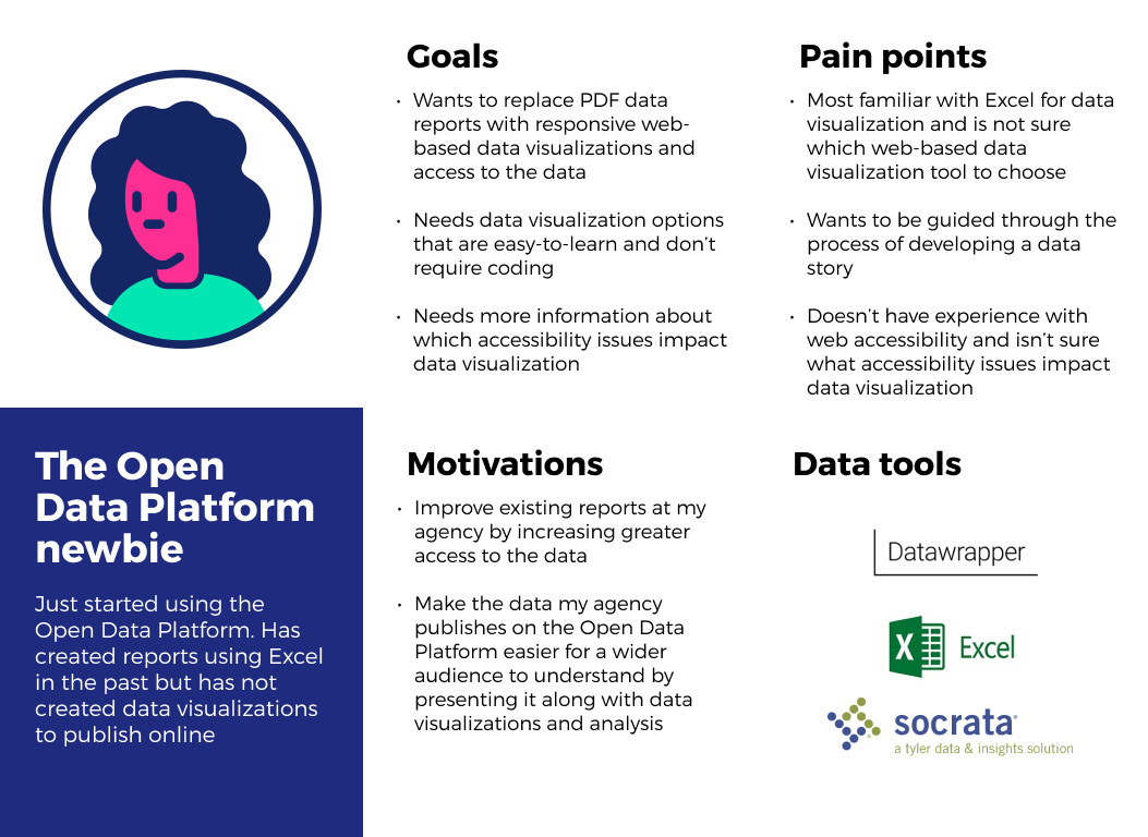 User persona for the new open data platform user